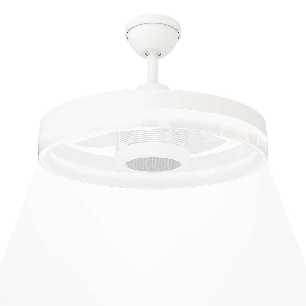 Ceiling Mount Electric Fan Built With Heating Module Dimmable Lamp and Tool-Free Plug-In Mounting Structure