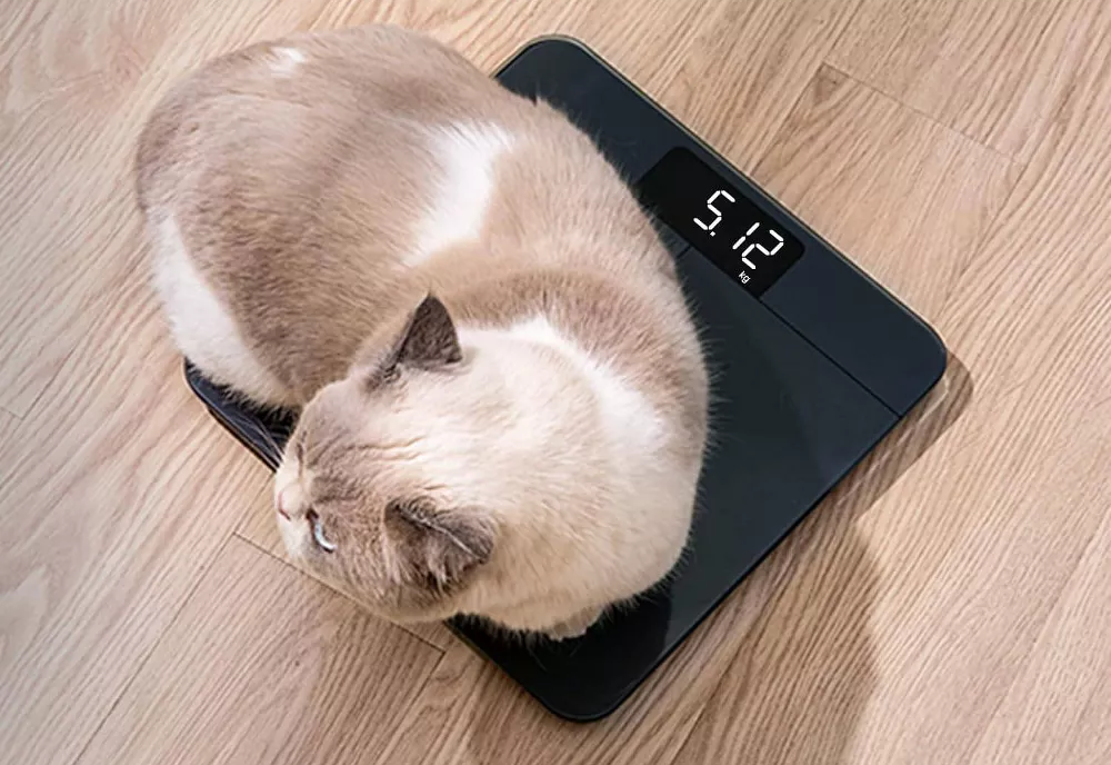High-Precision Smart Scale With Double Calibration Sensor and Bright LED Readout Panel